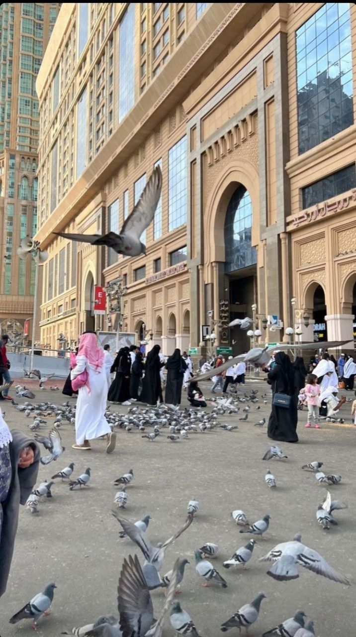 Visa Umroh Ditutup Menjelang Haji 2026, Kapan Visa Umroh Mandiri Dibuka Kembali? Ini Penjelasan dan Jadwal Resminya